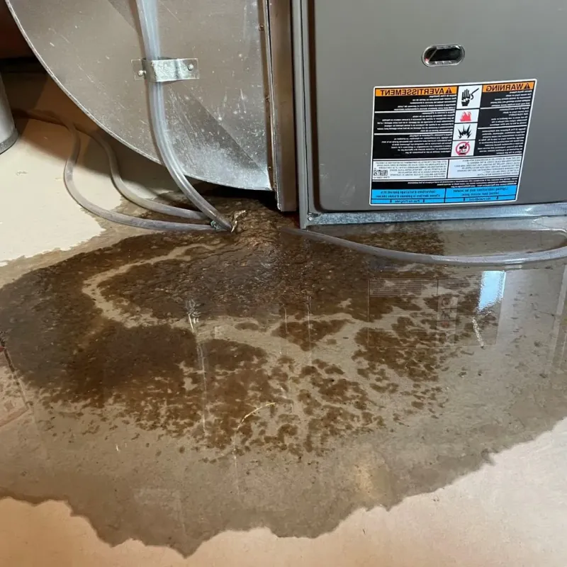 Pipe Burst and Leak Restoration in Hatfield, MA
